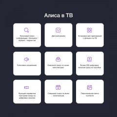 Телевизор LED Starwind 55&quot; SW-LED55UG400 Яндекс.ТВ стальной 4K Ultra HD 60Hz DVB-T DVB-T2 DVB-C DVB-S DVB-S2 USB WiFi Smart TV