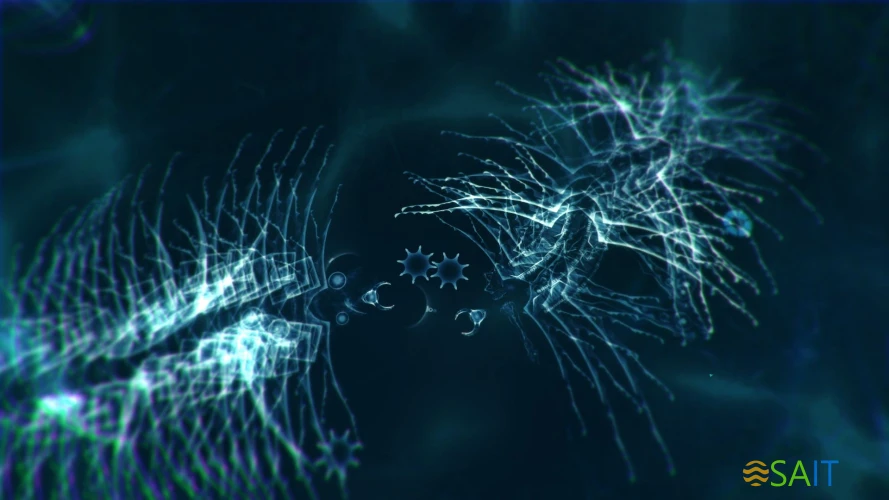 Игра для ПК Forever Entertainment Sparkle ZERO (12+)