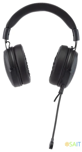 Наушники с микрофоном Acer AHW120 черный 2.1м мониторные USB оголовье (ZL.HDSCC.01C)