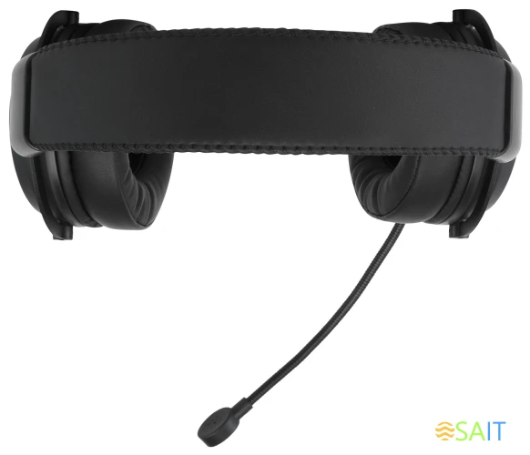 Наушники с микрофоном Acer AHW120 черный 2.1м мониторные USB оголовье (ZL.HDSCC.01C)