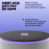 Умная колонка Yandex Станция Мини 3 Про Алиса серый 18W 1.0 BT/Wi-Fi (YNDX-00059GRY)