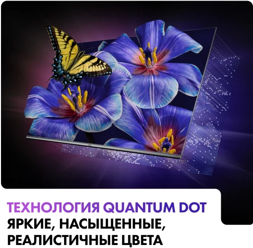Телевизор QLED Haier 55" Smart TV S4 Frameless серый 4K Ultra HD 60Hz MEMC DVB-T DVB-T2 DVB-C DVB-S2 USB WiFi Smart TV