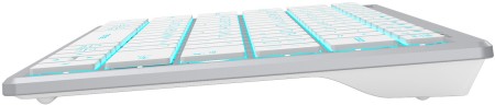 Клавиатура A4Tech Fstyler FX61 белый USB slim LED (FX61 WHITE)