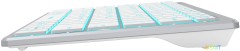 Клавиатура A4Tech Fstyler FX61 белый USB slim LED (FX61 WHITE)
