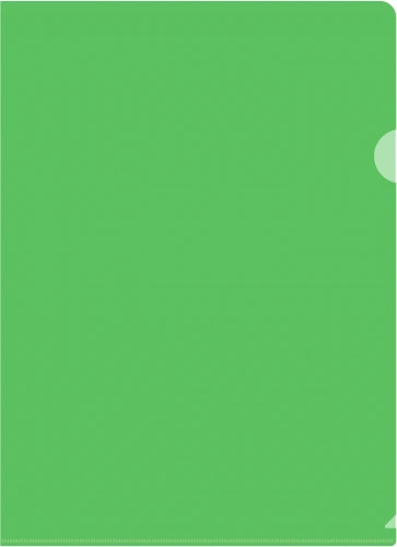 Папка-уголок Silwerhof Eco SE-E120/GRN тисненый A4 пластик 0.12мм зеленый