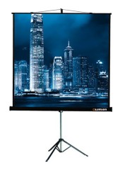 Экран на треноге Lumien 109" 203x203см Master View LMV-100109 1:1 напольный рулонный