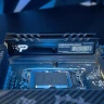 Память DDR5 32GB 4800MHz Patriot PSP532G48002H1 Signature Premium RTL PC5-38400 CL40 DIMM 288-pin 1.1В single rank с радиатором Ret