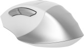 Мышь A4Tech Fstyler FB35CS белый/серый оптическая 2000dpi silent беспров. BT/Radio USB 5but (FB35CS USB ICY WHITE)