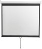 Экран Digis 150" 229x308см Optimal-D DSOD-4306 4:3 настенно-потолочный рулонный