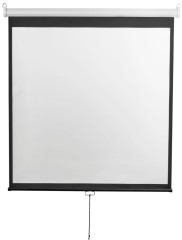 Экран Digis 135" 240x240см Optimal-D DSOD-1107 1:1 настенно-потолочный рулонный