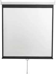 Экран Digis 167" 300x300см Optimal-D DSOD-1108 1:1 настенно-потолочный рулонный