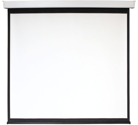 Экран Digis 112" 209x206см Electra-F DSEF-1106 1:1 настенно-потолочный рулонный (моторизованный привод)