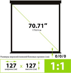 Экран Cactus 127x127см Triscreen CS-PST-127X127 1:1 напольный рулонный черный