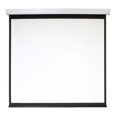 Экран Digis 118" 213x213см Electra-F DSEF-1107 1:1 настенно-потолочный рулонный (моторизованный привод)