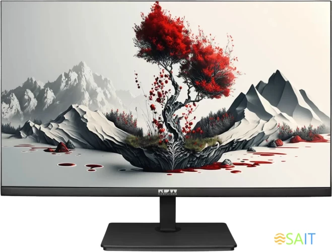 Монитор RDW Computers 23.8" RDW2401K черный IPS 5ms 16:9 HDMI матовая HAS Piv 1000:1 300cd 178гр/178гр 1920x1080 120Hz VGA DP FHD 4.185кг (RUS)