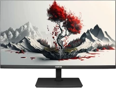 Монитор RDW Computers 23.8" RDW2401K черный IPS 5ms 16:9 HDMI матовая HAS Piv 1000:1 300cd 178гр/178гр 1920x1080 120Hz VGA DP FHD 4.185кг (RUS)