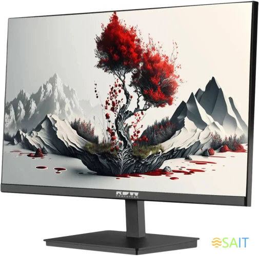 Монитор RDW Computers 23.8" RDW2401K черный IPS 5ms 16:9 HDMI матовая HAS Piv 1000:1 300cd 178гр/178гр 1920x1080 120Hz VGA DP FHD 4.185кг (RUS)