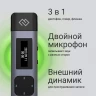 Диктофон Цифровой Digma DiVoice RV50 8Gb черный