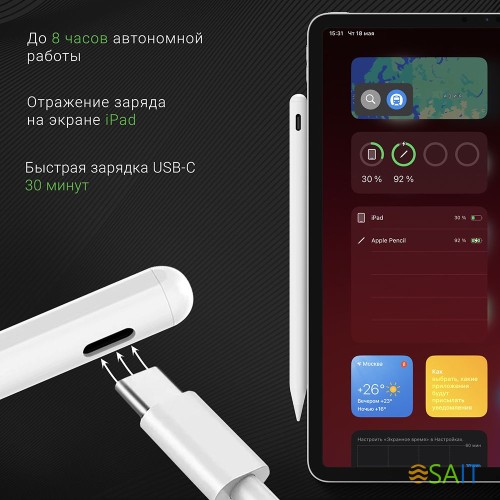 Стилус Digma Pro i2 для Apple iPad/Pro/Air/Mini белый (DGSPI2WT)