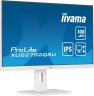 Монитор Iiyama 27" ProLite XUB2792QSU-W6 белый IPS LED 0.4ms 16:9 HDMI M/M матовая HAS Piv 250cd 178гр/178гр 2560x1440 100Hz DP WQ USB 6.1кг