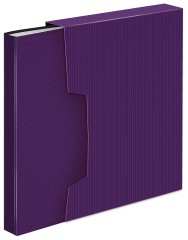 Папка с 100 прозр.вклад. Бюрократ DeLuxe DLVBOX100BBERRY A4 пластик 0.7мм черничный в коробе