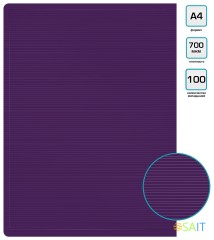 Папка с 100 прозр.вклад. Бюрократ DeLuxe DLVBOX100BBERRY A4 пластик 0.7мм черничный в коробе