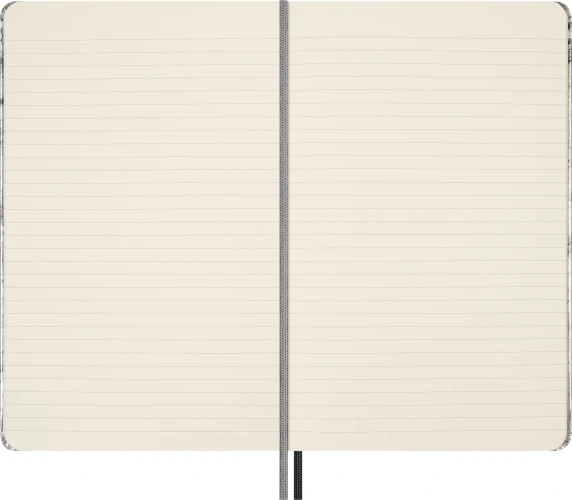 Набор Moleskine Limited Edition NASA-inspired Large серебристый