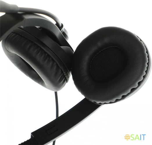 Наушники с микрофоном A4Tech Fstyler FH100U черный 2м накладные USB оголовье (FH100U (STONE BLACK))