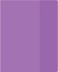 Обложка Silwerhof 2026956 Цветные для тетради (набор 10шт) ПВХ 130мкм матовая прозр. 210x350мм