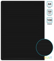 Папка с 100 прозр.вклад. Бюрократ DeLuxe DLVBOX100BLCK A4 пластик 0.7мм черный в коробе