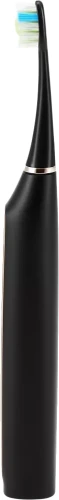 Зубная щетка электрическая Polaris PETB 0101 TC черный