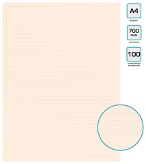 Папка с 100 прозр.вклад. Бюрократ DeLuxe DLVBOX100MILK A4 пластик 0.7мм молочный в коробе