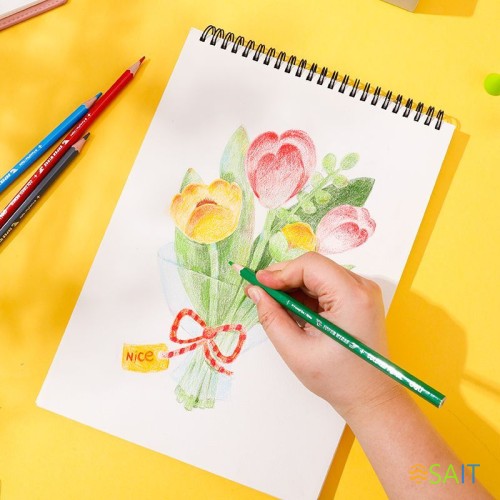 Карандаши цв. Deli EC00817 Super Wings шестигран. тополь 18цв. туба пл.