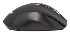 Мышь Acer OMR140 черный оптическая 1600dpi беспров. USB 6but (ZL.MCEEE.00G)