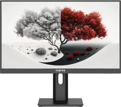 Монитор RDW Computers 23.8" RDW2401K черный IPS 4ms 16:9 HDMI M/M матовая HAS Piv 1200:1 300cd 178гр/178гр 1920x1080 100Hz VGA DP FHD 1.7кг (RUS)