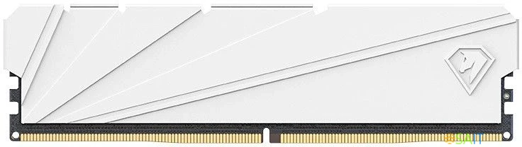 Память DDR4 8GB 2666MHz Netac NTSSD4P26SP-08W Shadow S RTL PC4-25600 CL19 DIMM 288-pin 1.2В Intel с радиатором Ret