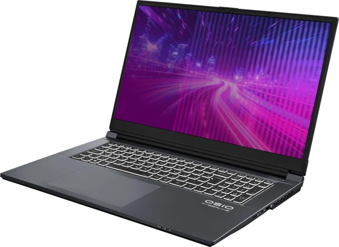 Ноутбук Osio CyberLine C170i-002 Core i5 12600H 16Gb SSD512Gb NVIDIA GeForce RTX4050 6Gb 17.3" IPS FHD (1920x1080) без ОС dk.grey WiFi BT Cam 3410mAh