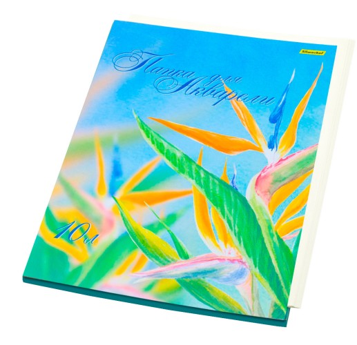 Папка для акварели Silwerhof 914008-54 A3 10л. бум.180г/м2