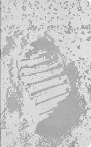 Блокнот Moleskine CAHIER NASA-INSPIRED SKCAHLP7063S2 Large 130х210мм 120стр. нелинованный мягкая обложка серебристый/черный Moon (2шт)