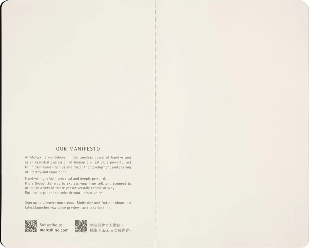 Блокнот Moleskine CAHIER NASA-INSPIRED SKCAHLP7063S2 Large 130х210мм 120стр. нелинованный мягкая обложка серебристый/черный Moon (2шт)