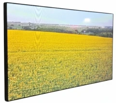 Панель Ikar 55" ПВ 55-117-300 (0.88 мм) черный IPS LED 8ms 16:9 DVI HDMI M/M матовая 1200:1 700cd 178гр/178гр 3840x2160 VGA DP UHD USB 40кг (RUS)