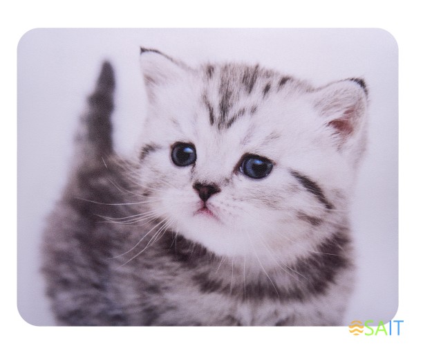 Коврик для мыши Buro BU-M40087 Мини рисунок/котенок 230x180x2мм
