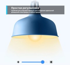 Умная лампа TP-Link Tapo L510E E27 8.7Вт 806lm Wi-Fi (упак.:1шт)