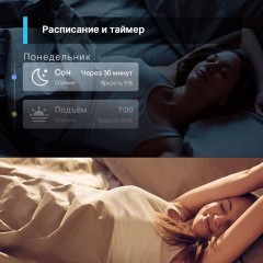 Умная лампа TP-Link Tapo L510E E27 8.7Вт 806lm Wi-Fi (упак.:1шт)