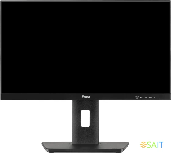 Монитор Iiyama 21.5" ProLite XUB2293HSU-B6 черный IPS LED 1ms 16:9 HDMI M/M матовая HAS Piv 1000:1 250cd 178гр/178гр 1920x1080 100Hz DP FHD USB 3.9кг