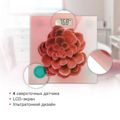 Весы напольные электронные Starwind SSP6041 макс.180кг рисунок