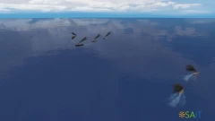 Игра для ПК Strategy First Ironclads 2: War of the Pacific (12+)