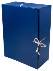 Папка архивная 4 завязки Silwerhof КБЗ-4-80Р бумвинил корешок 80мм разобранный A4 ассорти