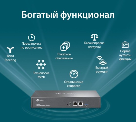 Контроллер TP-Link Omada OC300 10/100/1000BASE-TX черный