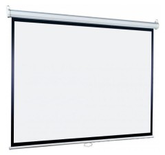 Экран Lumien 119" 220x220см Eco Picture LEP-100110 1:1 настенно-потолочный рулонный